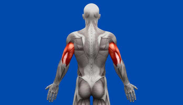 How To Hit Medial Head Tricep?