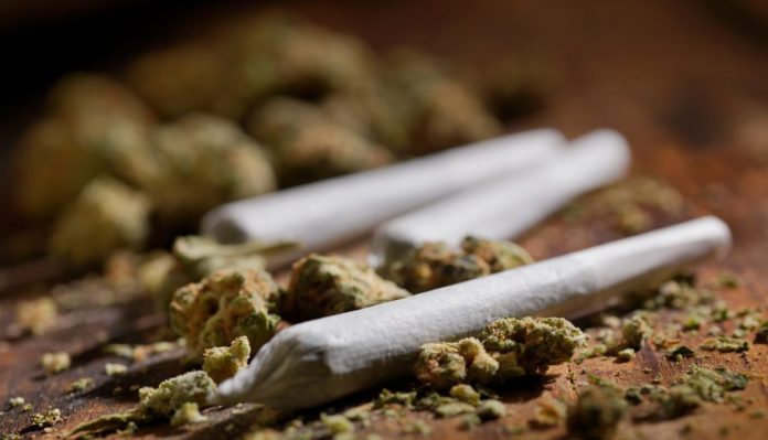 Top 5 Reasons Why Raw Pre-Rolled Cones Are a Must-Have for Every Smoker